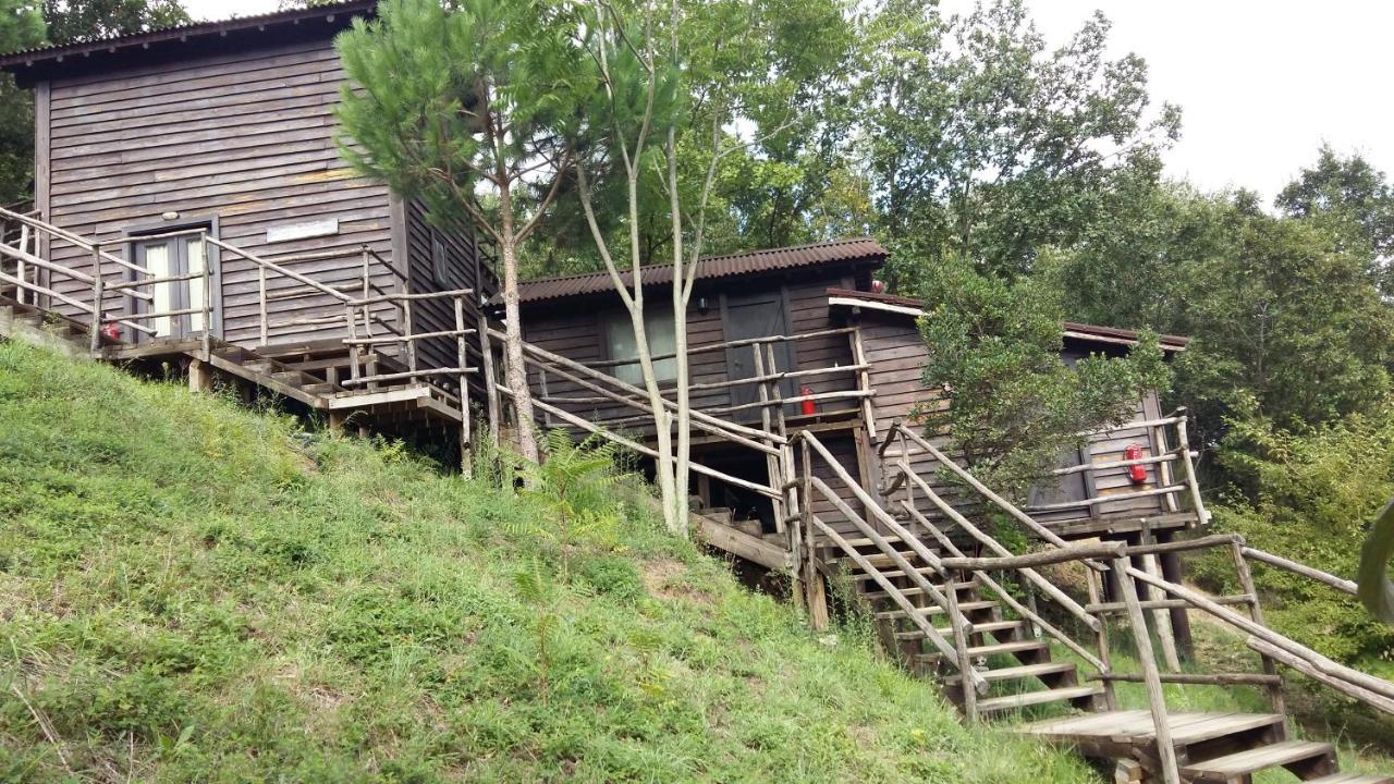 Double Room Mountain View