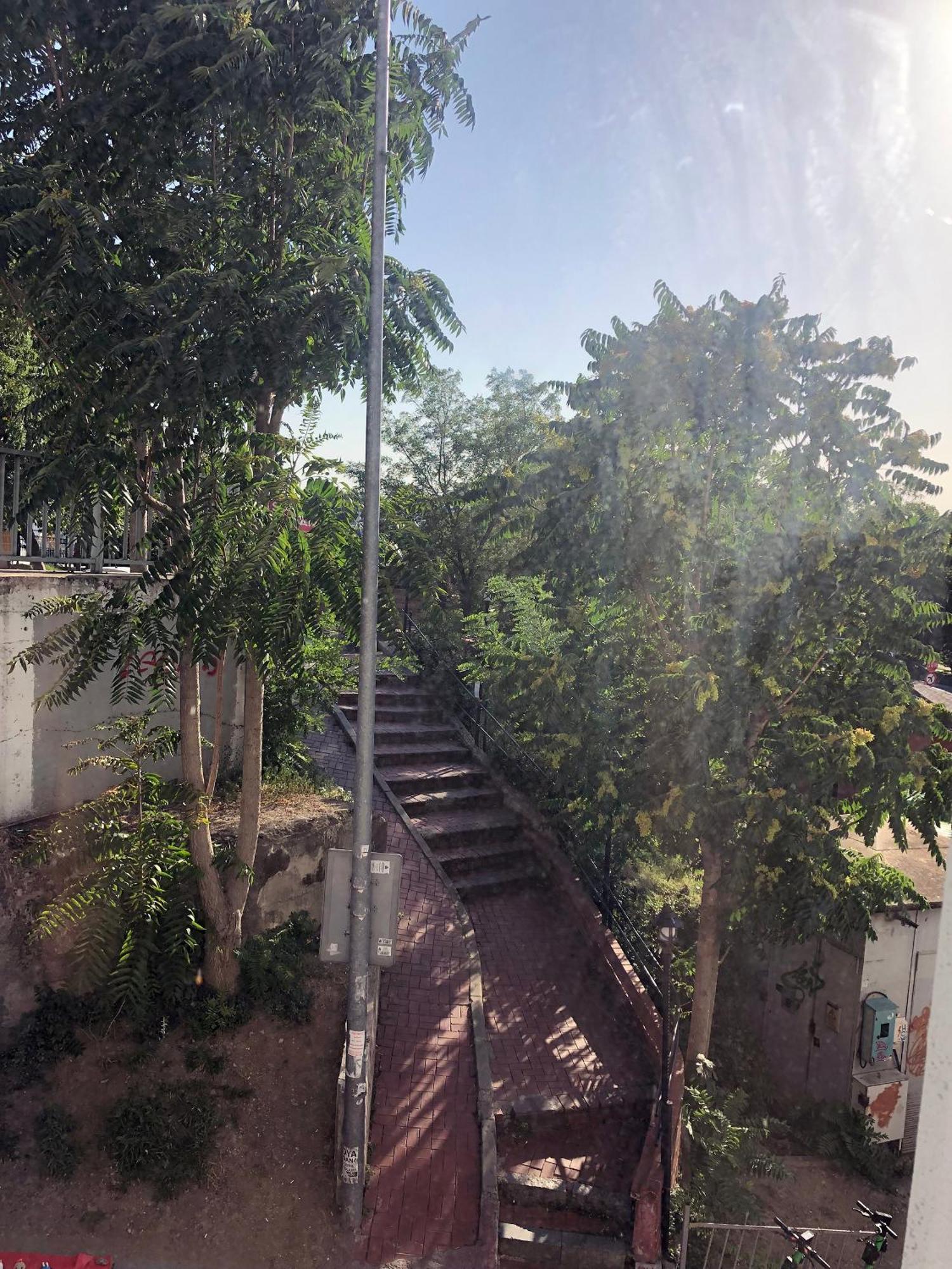 Single Room Garden View