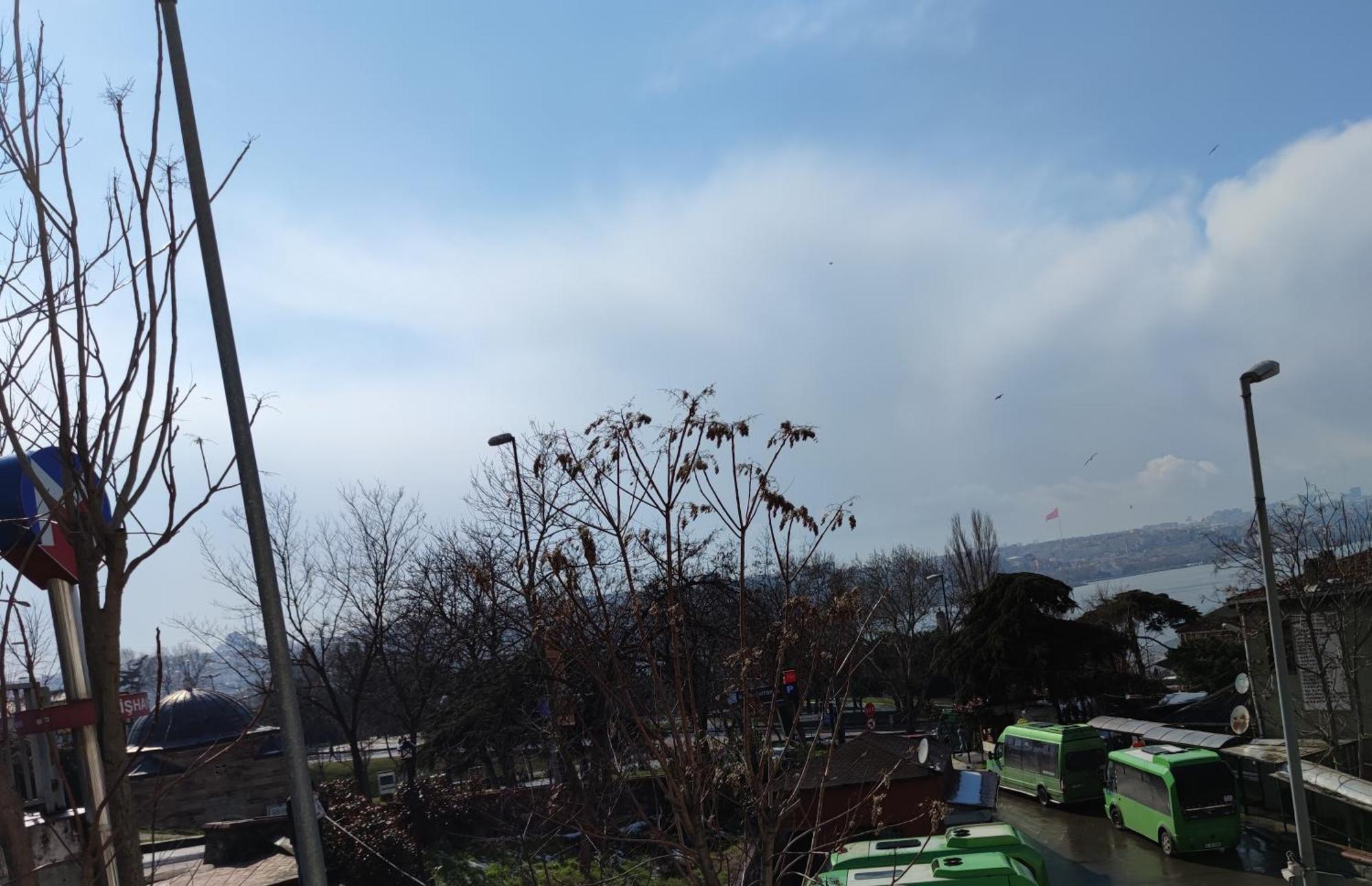 Single Room Garden View