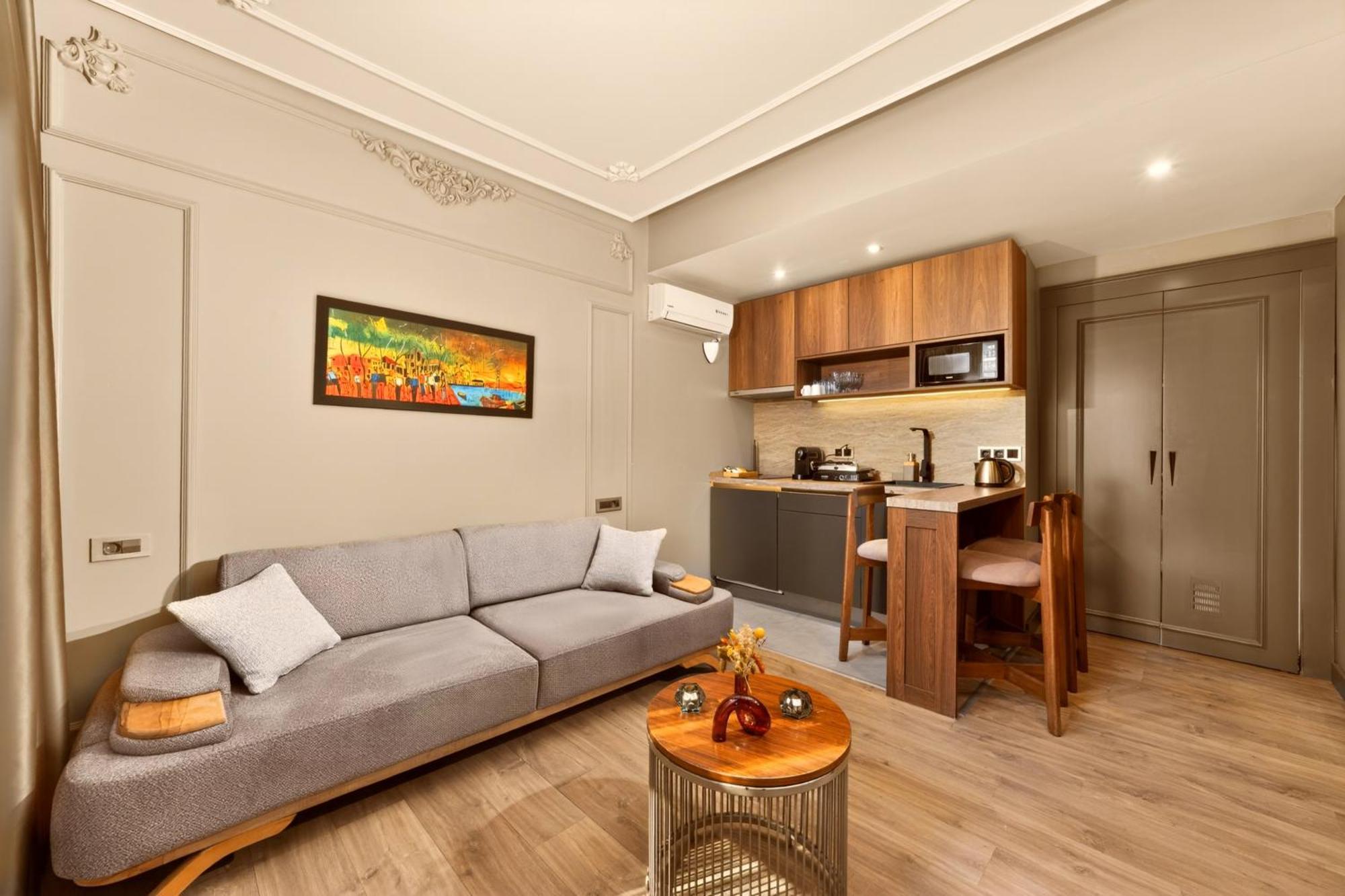 Deluxe One-Bedroom Apartment
