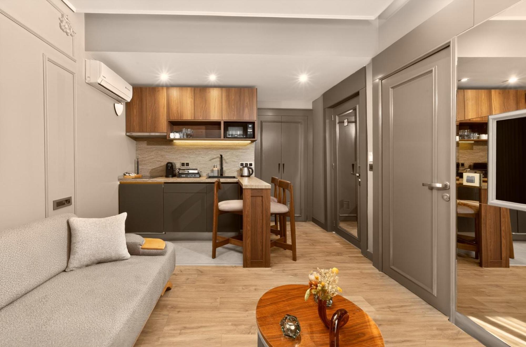 Deluxe One-Bedroom Apartment