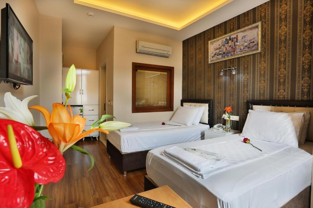Economy Twin Room