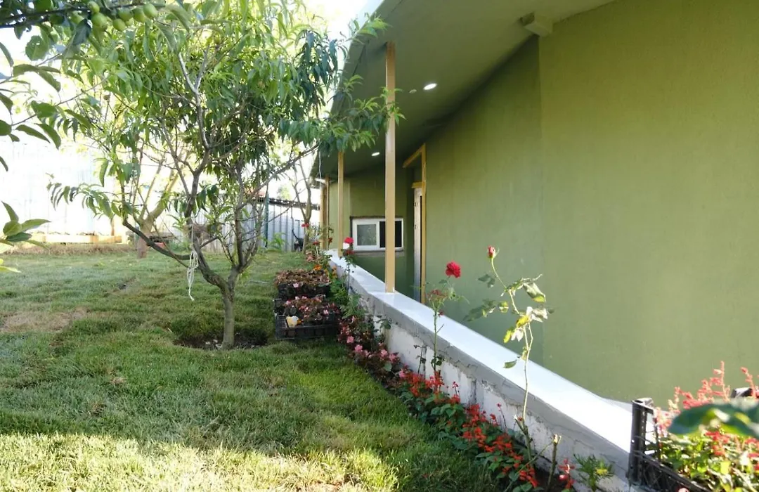 Forest Blue Beach Otel-1