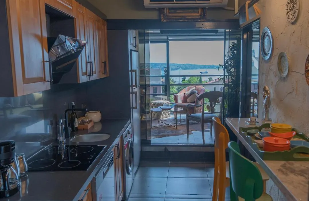 Sky View With Bosphorus & Alexa Smart Home-1