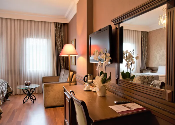 Huisdiervriedelijke Ferman Hotel Old City -Special Category Istanboel