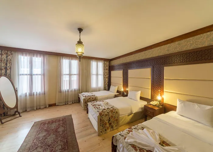 Hotel vicino a Galata Köprüsü