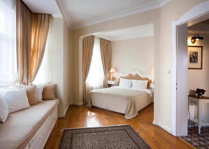 Hotel Sari Konak Provincia di Provincia di Istanbul che accetta animali