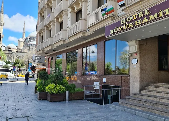 Hotel Buyuk Hamit Estambul