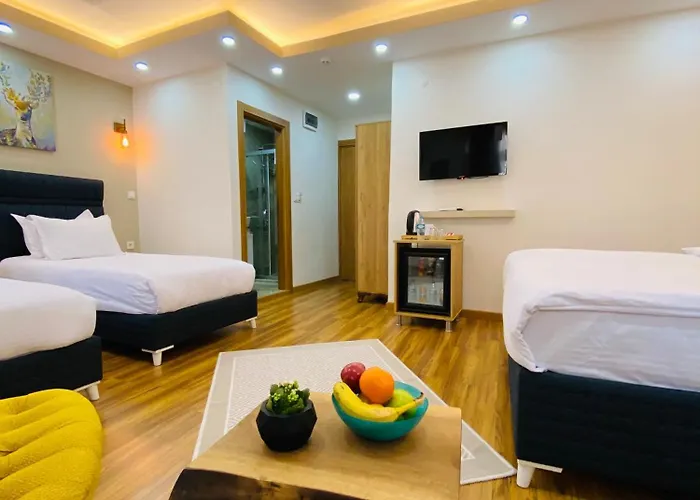 Palmera Art House Κωνσταντινούπολη