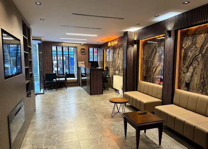 Huisdiervriedelijke Miss City Hotel Taksim Istanboel