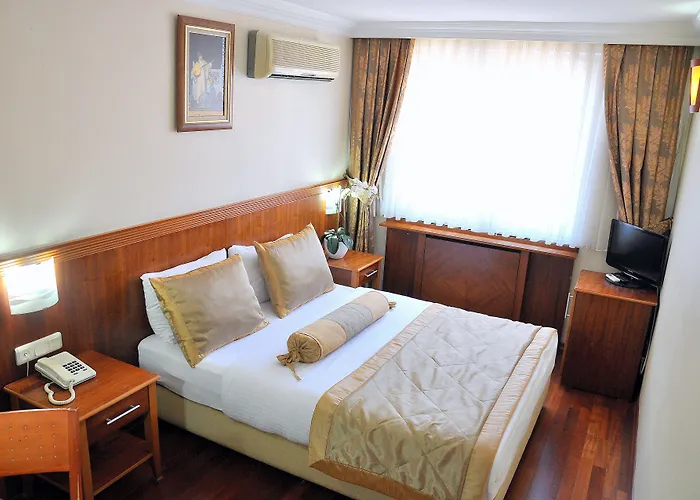 Centrum Suites Provincia di Istanbul che accetta animali