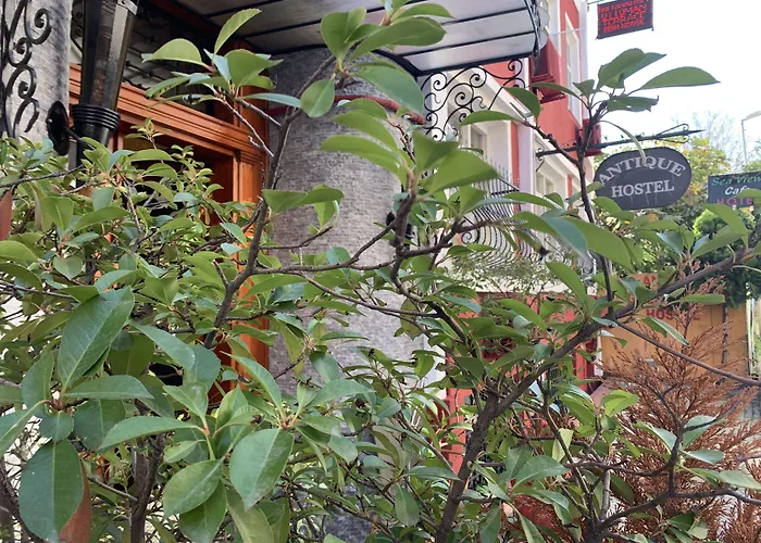 Antique Hostel Provincia di Provincia di Istanbul