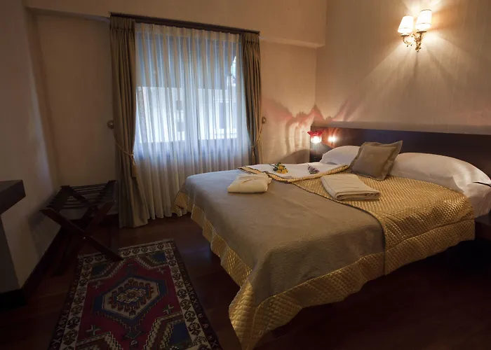 Burckin Hotel Provincia di Provincia di Istanbul - un hotel a 3 stelle 