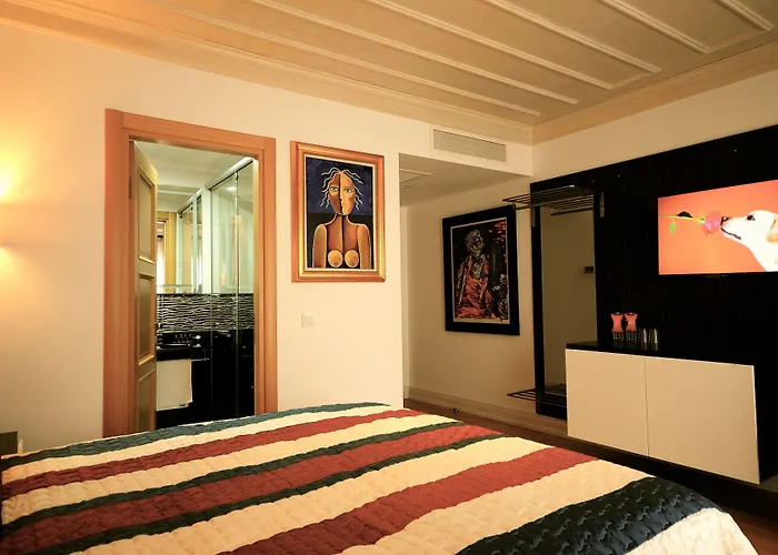 Ottopera Hotel Provincia di Provincia di Istanbul