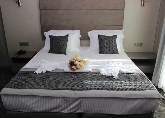 Anka Premium Hotel Estambul admite animales