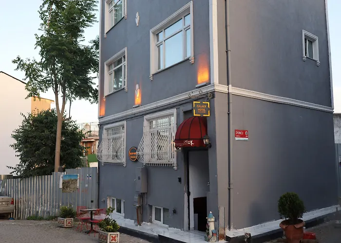 Huisdiervriedelijke Galaxy Hotel Sultanahmet Istanboel