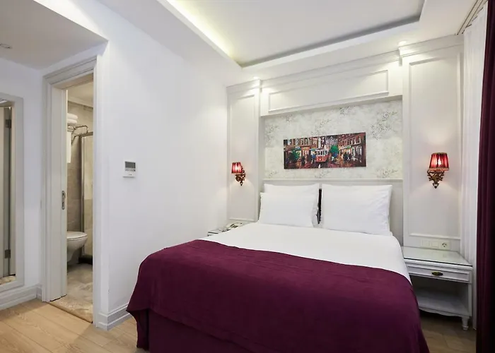 Albinas Hotel Old City Стамбул
